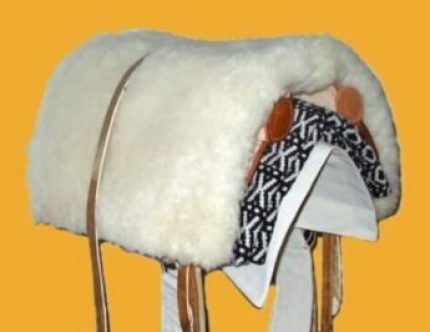 IMG_20220211_202914_440