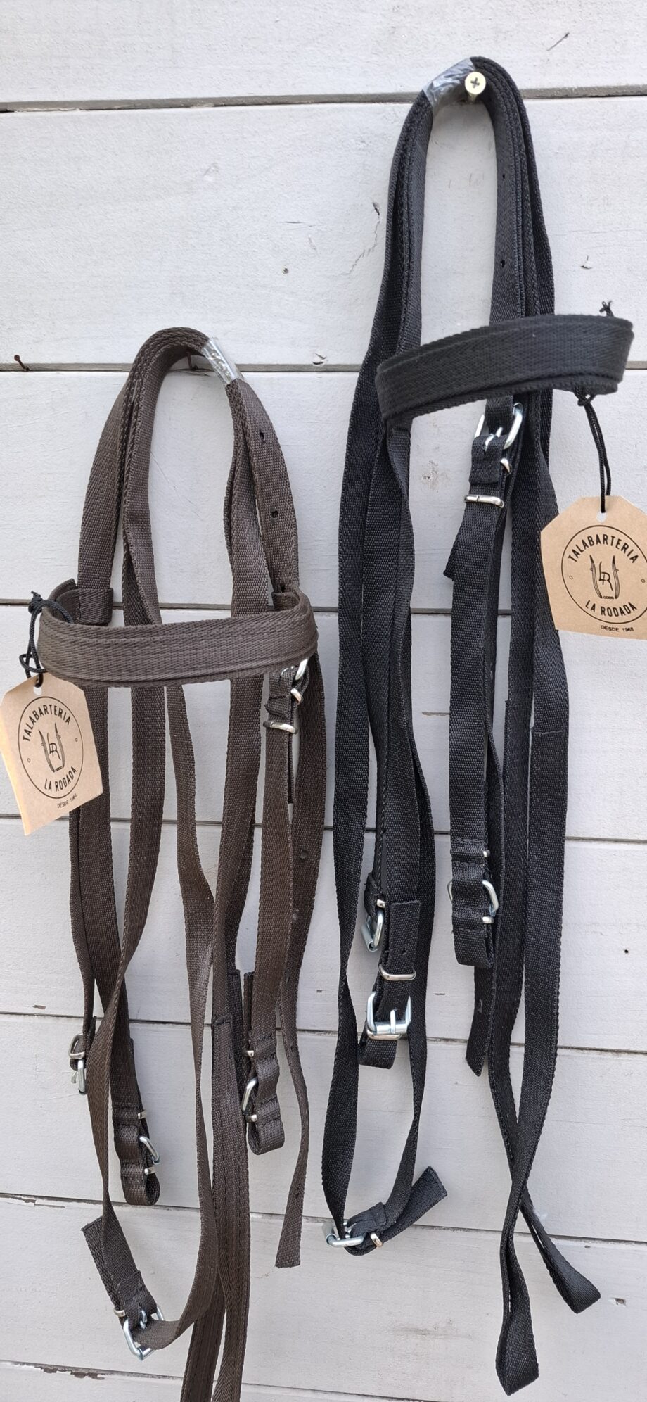 Cabezada & Rienda Nylon reforzado para caballo petizo