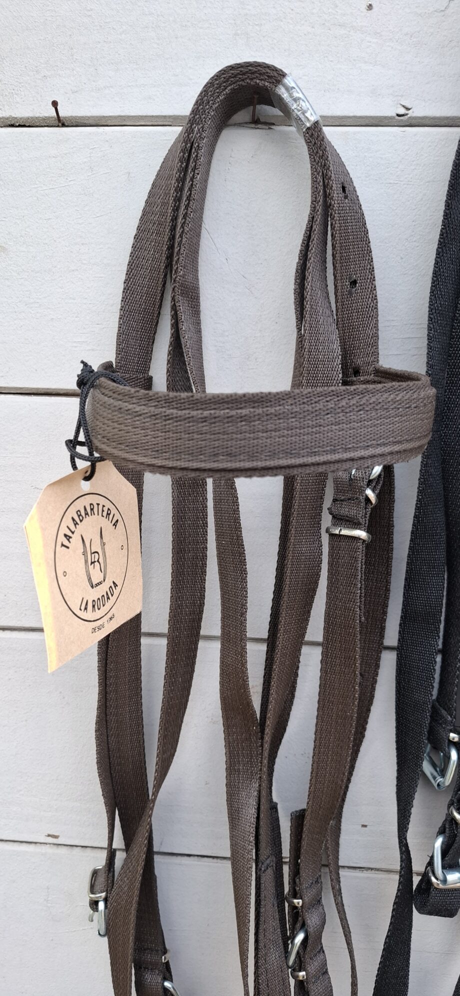 Cabezada & Rienda Nylon reforzado para caballo petizo
