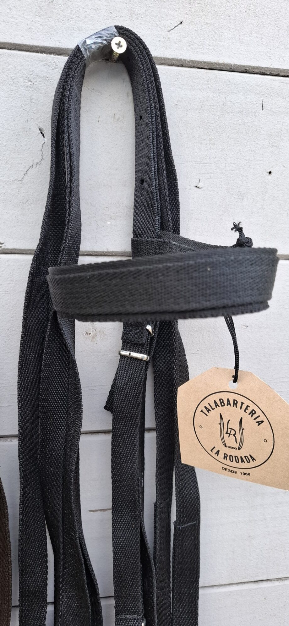 Cabezada & Rienda Nylon reforzado para caballo petizo