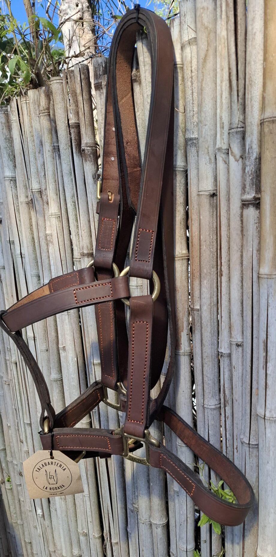 Bozal Haras c/ cabestro cuero vacuno con argollas y herrajes de Bronce - Premium