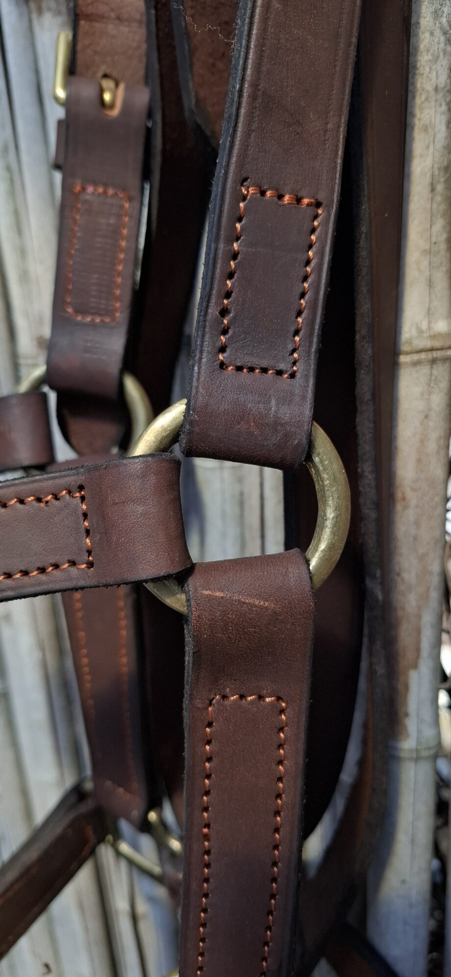 Bozal Haras c/ cabestro cuero vacuno con argollas y herrajes de Bronce - Premium