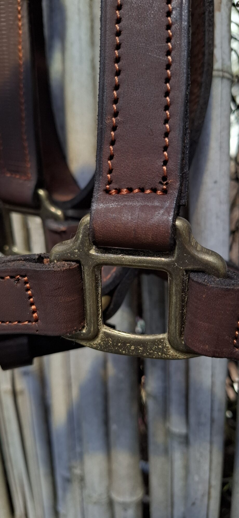 Bozal Haras c/ cabestro cuero vacuno con argollas y herrajes de Bronce - Premium