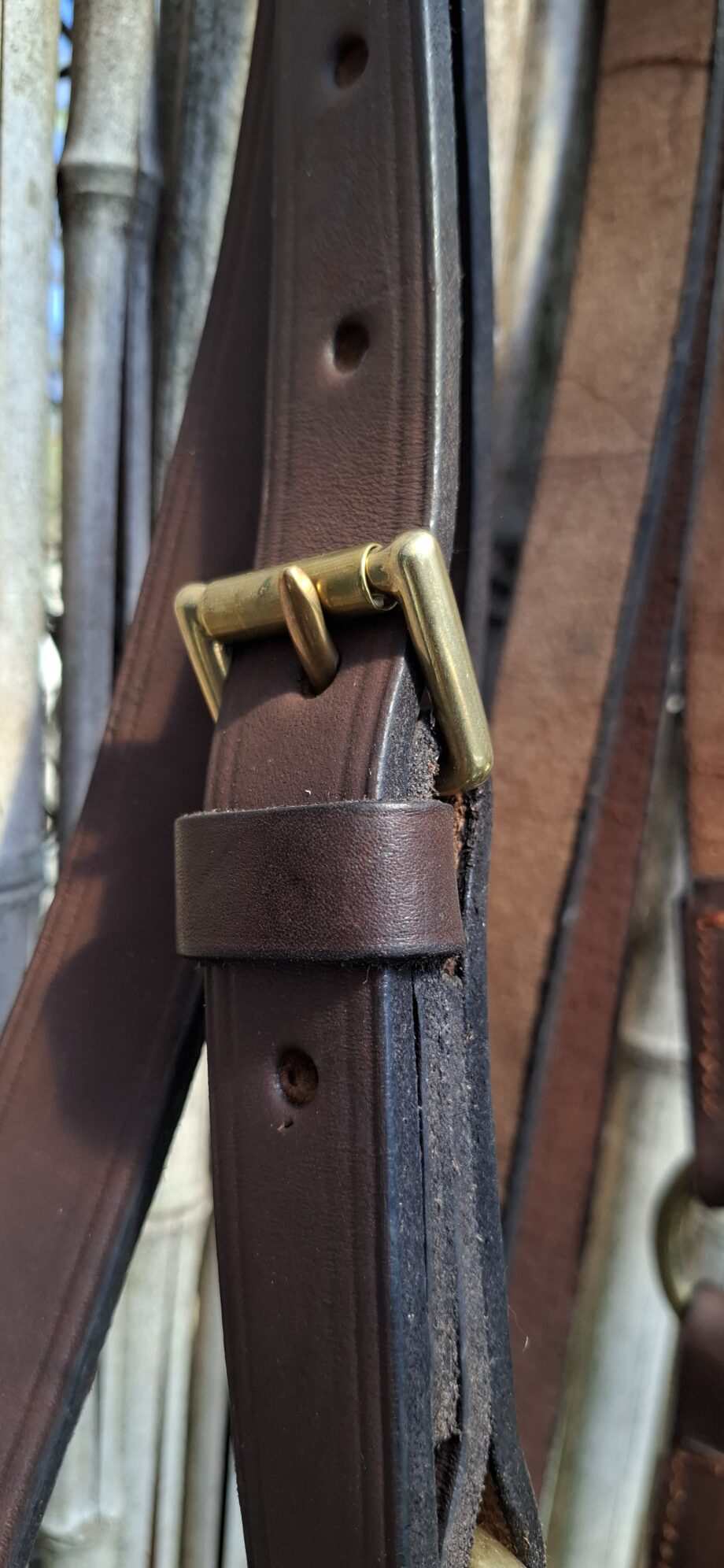 Bozal Haras c/ cabestro cuero vacuno con argollas y herrajes de Bronce - Premium