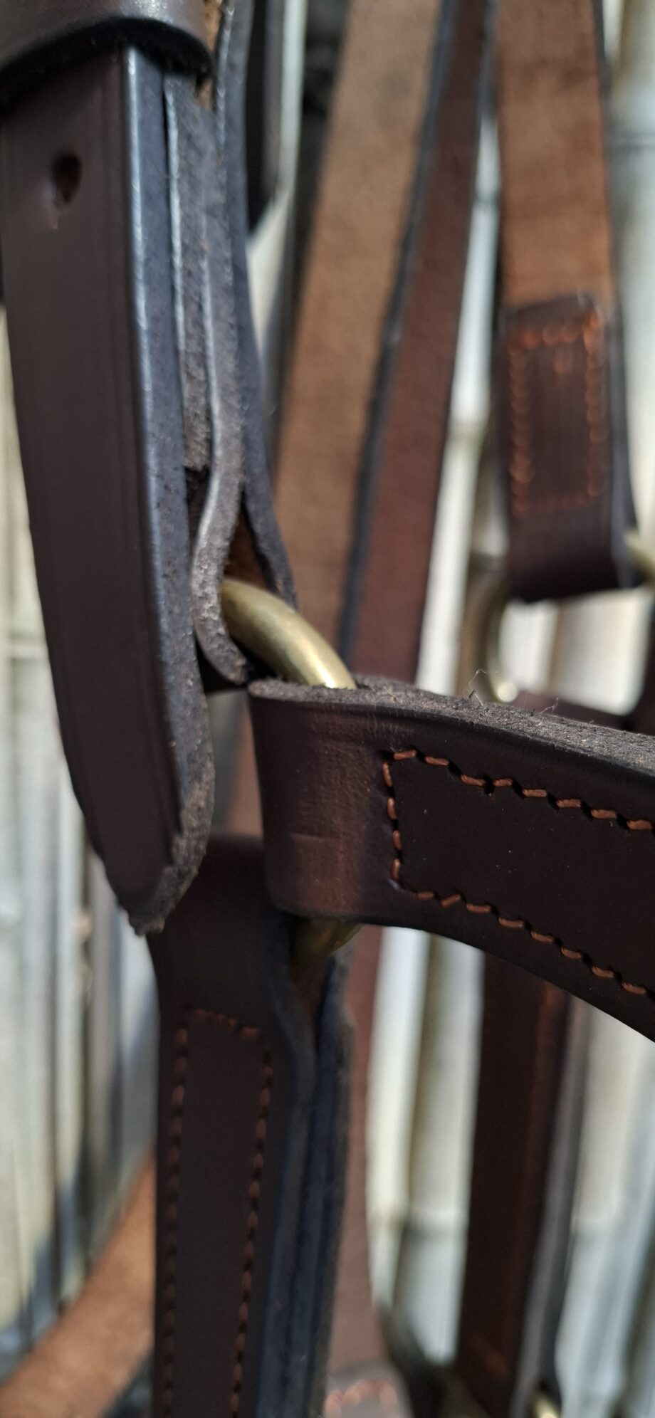 Bozal Haras c/ cabestro cuero vacuno con argollas y herrajes de Bronce - Premium