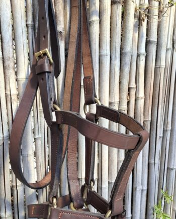 Bozal Haras c/ cabestro cuero vacuno con argollas y herrajes de Bronce - Premium