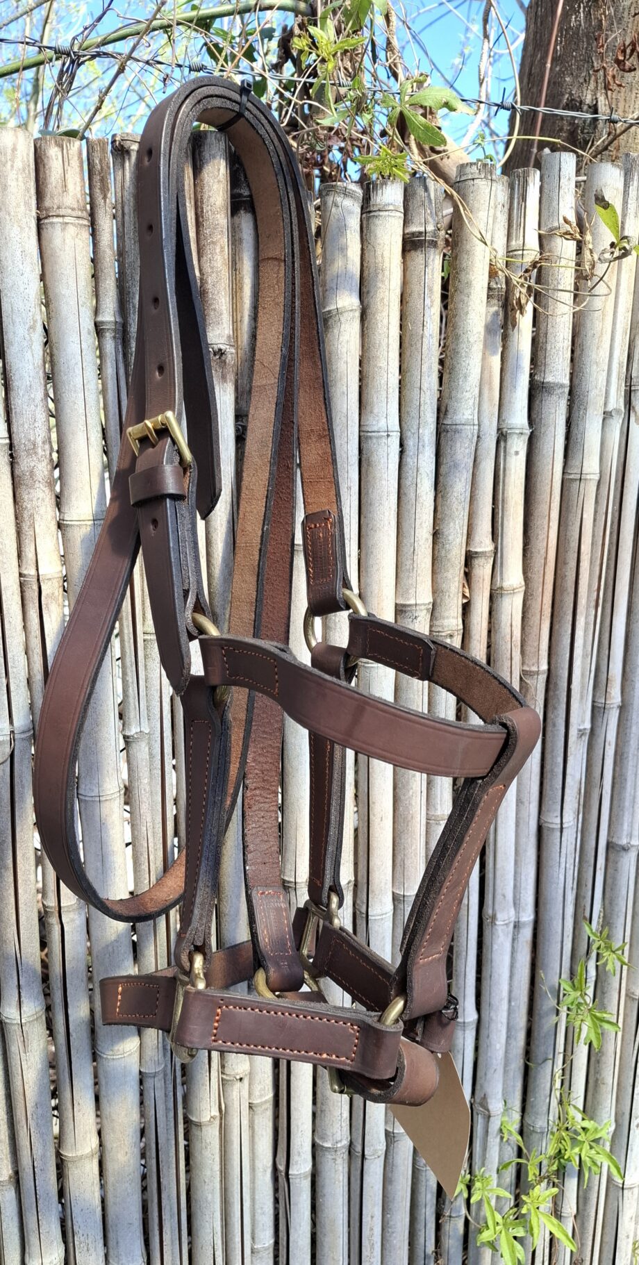 Bozal Haras c/ cabestro cuero vacuno con argollas y herrajes de Bronce - Premium