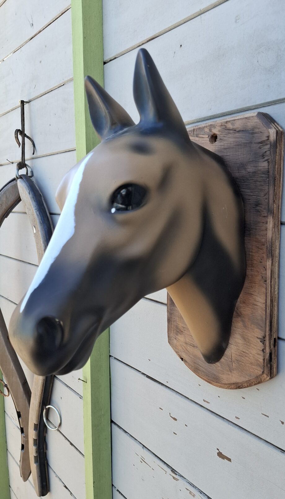 Cabeza de caballo chica en fibra de vidrio